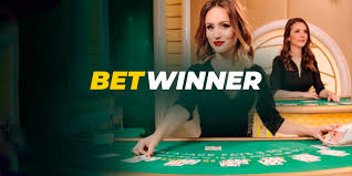 Discover the Excitement of Baji Casino