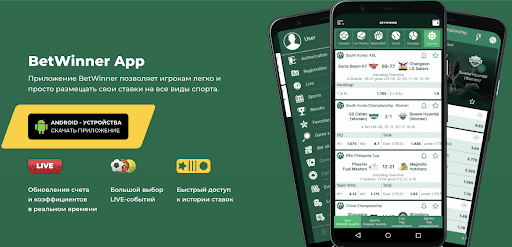 Discover the Excitement of Baji Casino